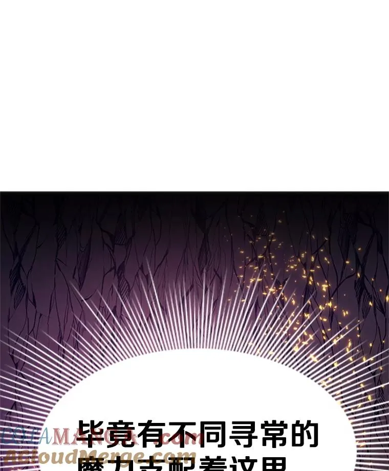167.塞雷吉的过去136