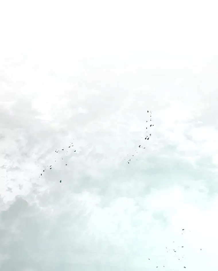 172.拜师45