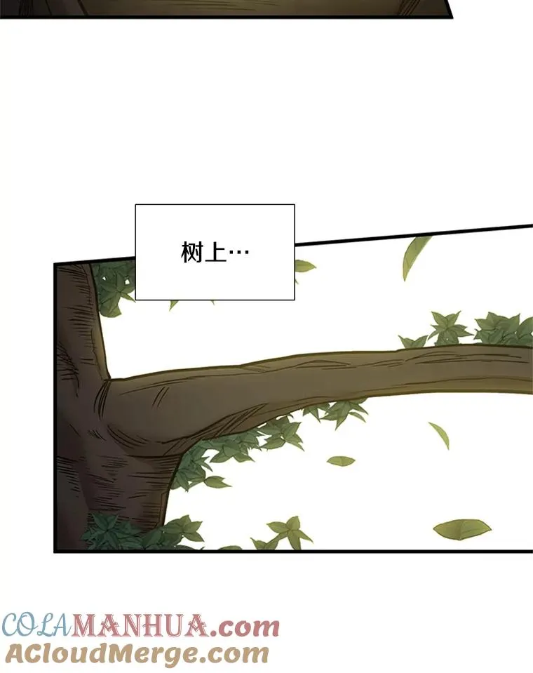 53.密林（2）72