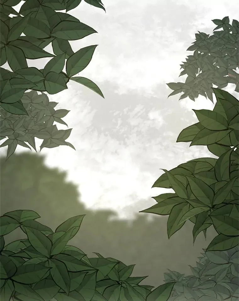 54.密林（3）73