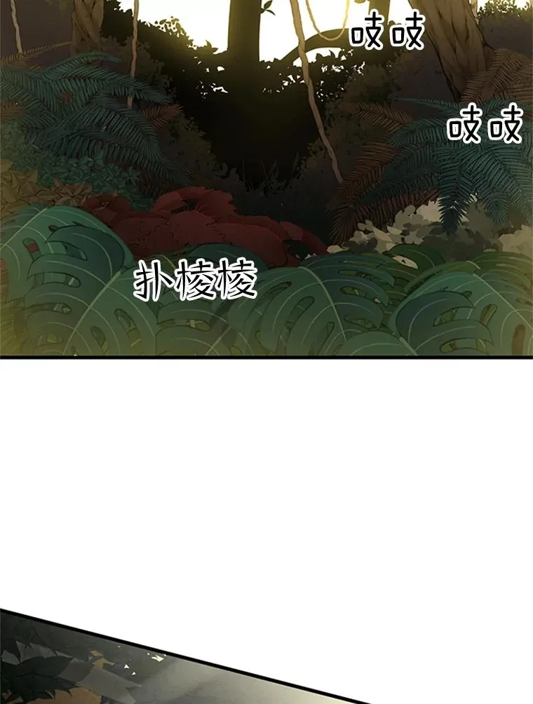 53.密林（2）1