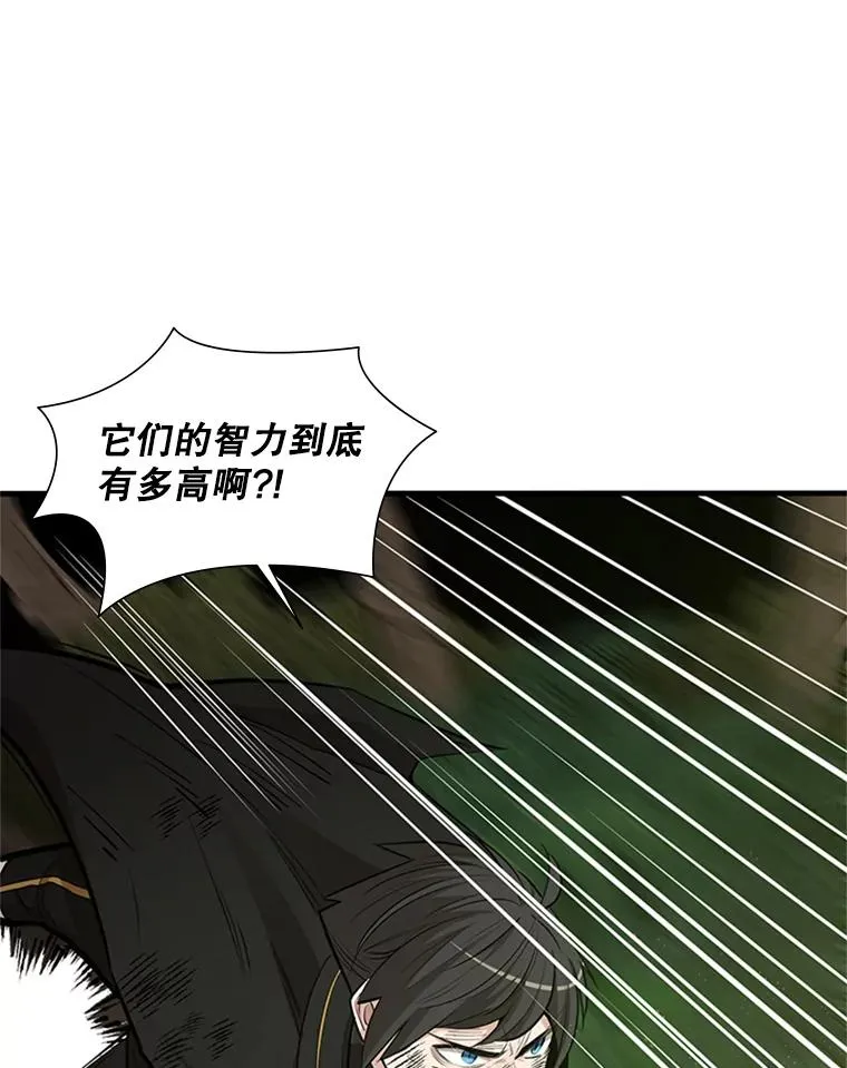 55.密林（4）39