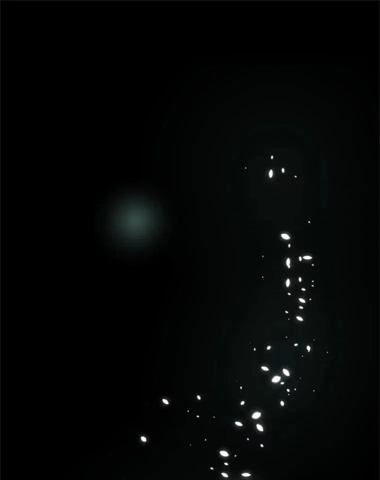 47.养龙2