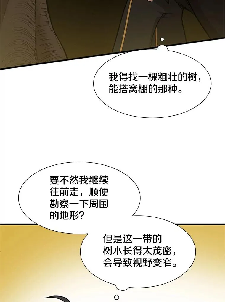 53.密林（2）78