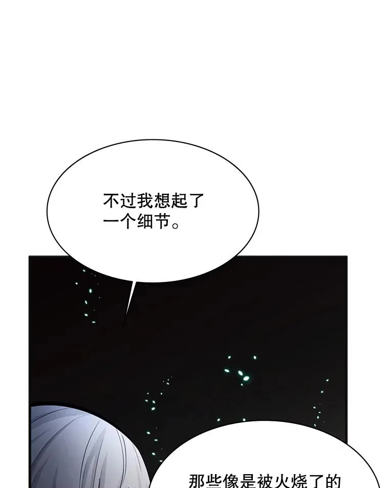 167.塞雷吉的过去86