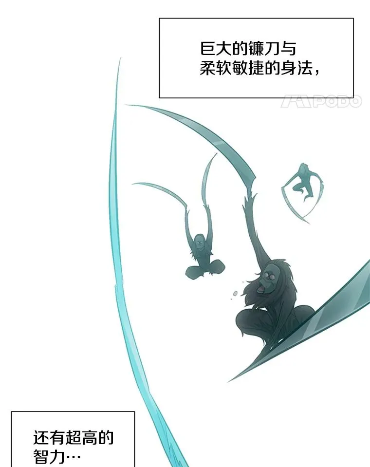 54.密林（3）101