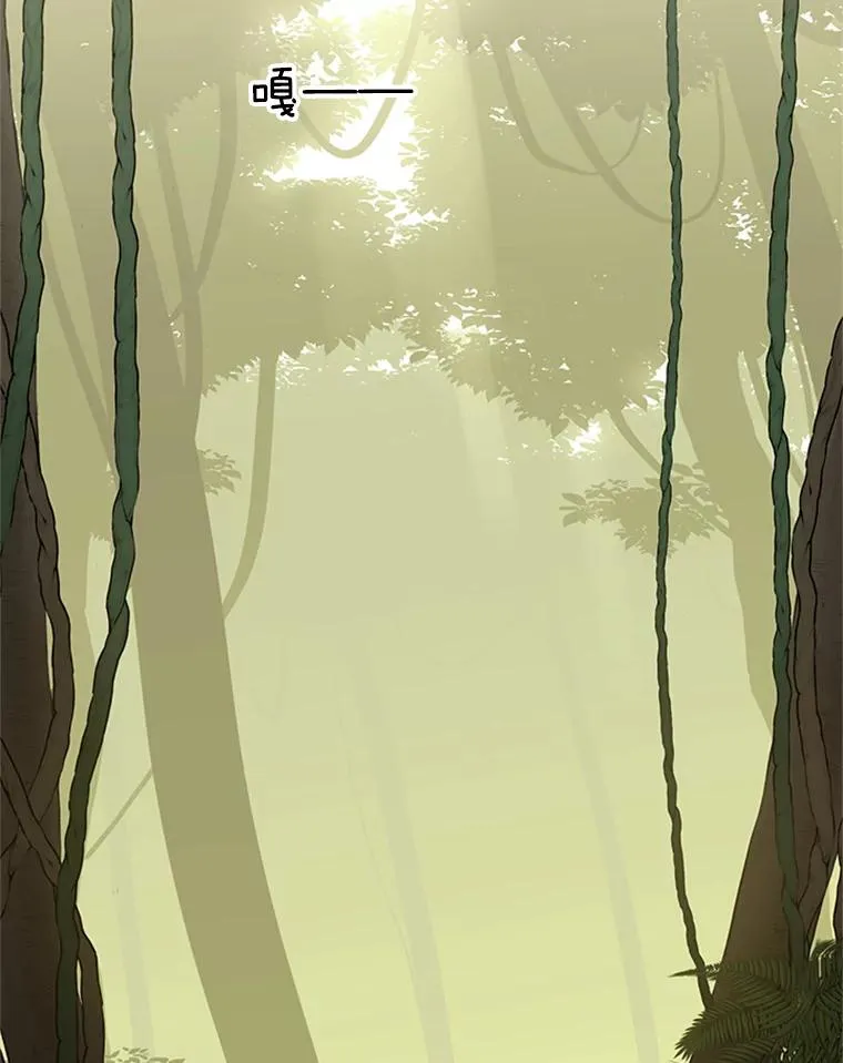 52.密林（1）29