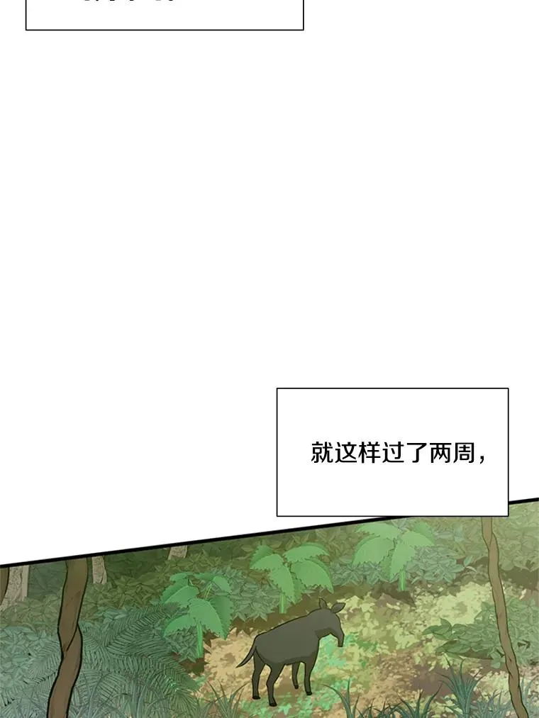 59.密林（8）11