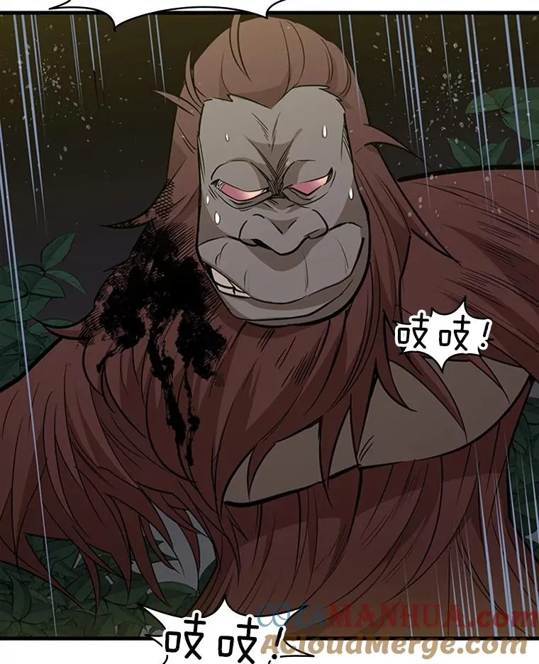 54.密林（3）8
