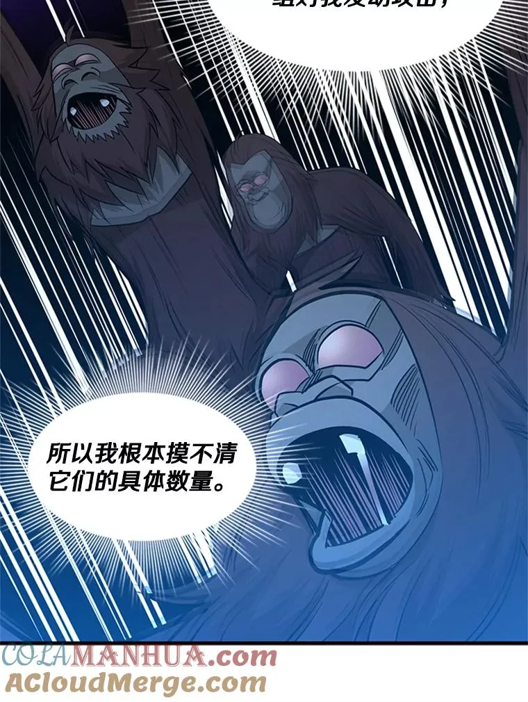 55.密林（4）12