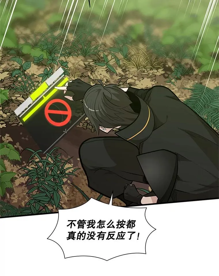 52.密林（1）49