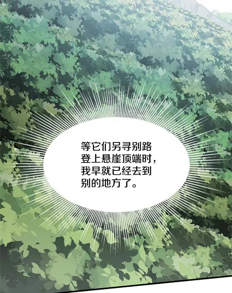 55.密林（4）18
