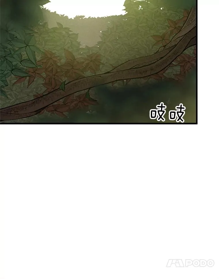 55.密林（4）23