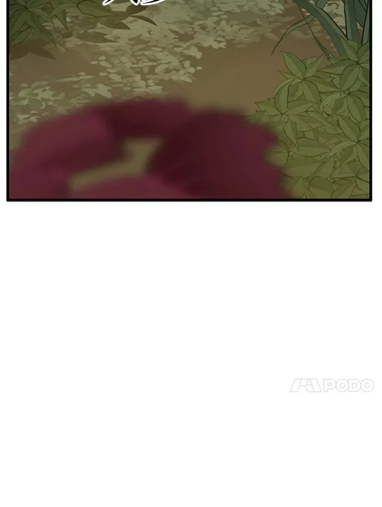 54.密林（3）17