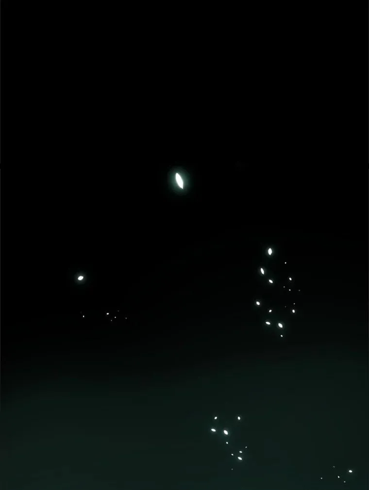 107.确认性别2