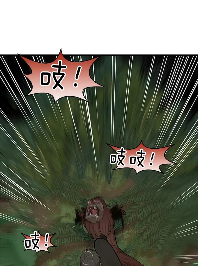54.密林（3）49