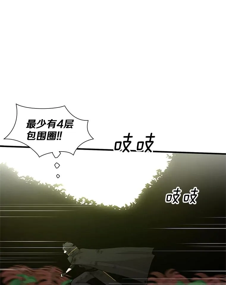55.密林（4）45