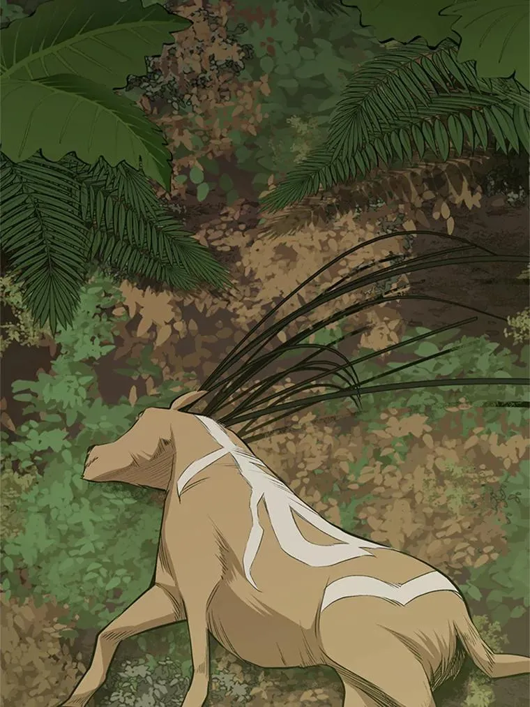 59.密林（8）5
