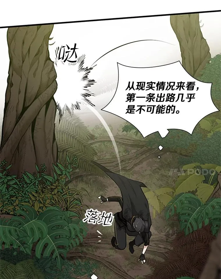 55.密林（4）71