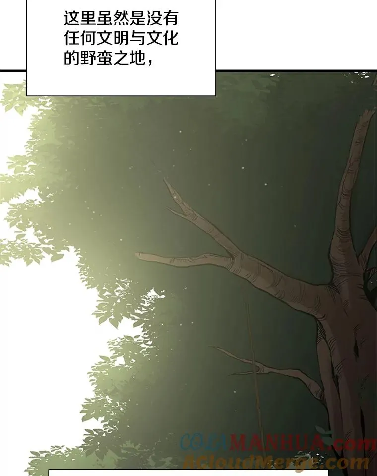52.密林（1）36