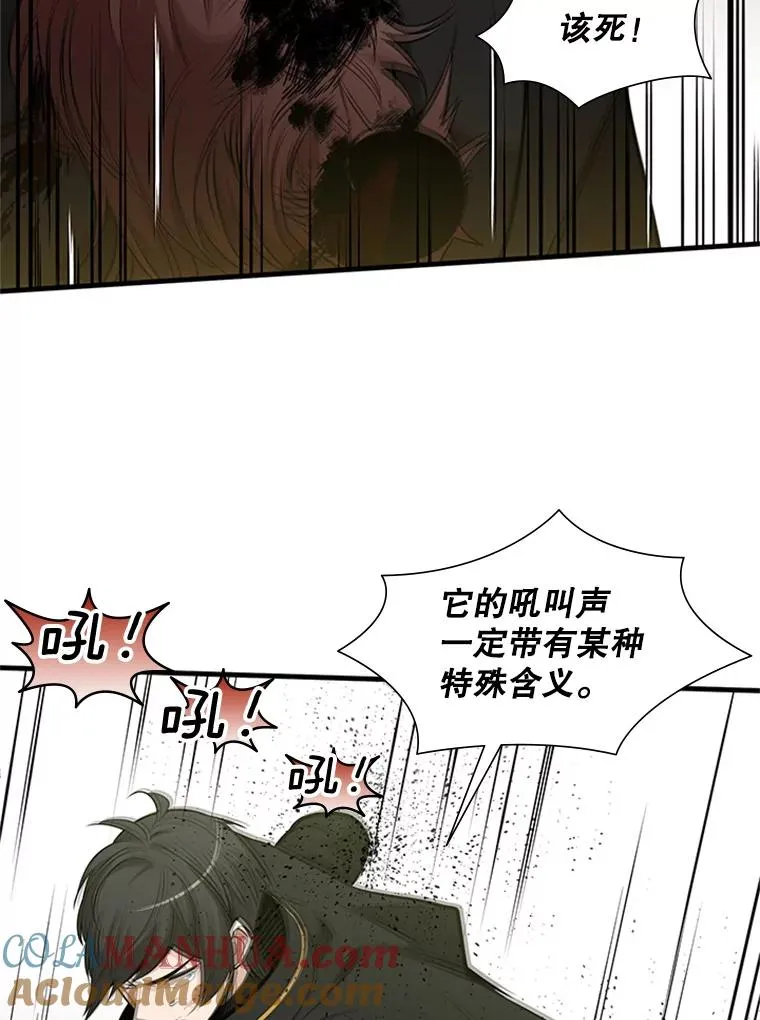 54.密林（3）52