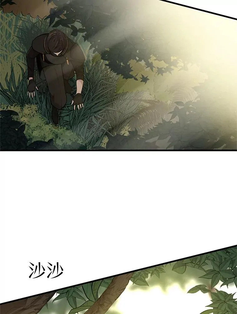 53.密林（2）2