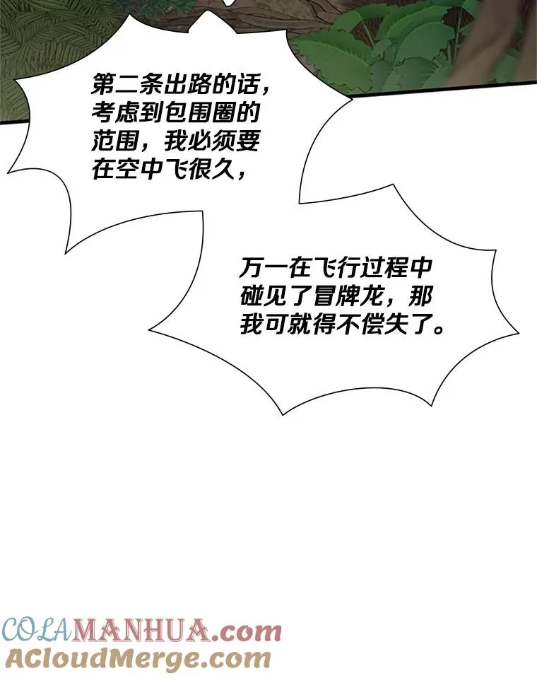 55.密林（4）72