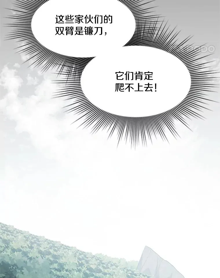 55.密林（4）17