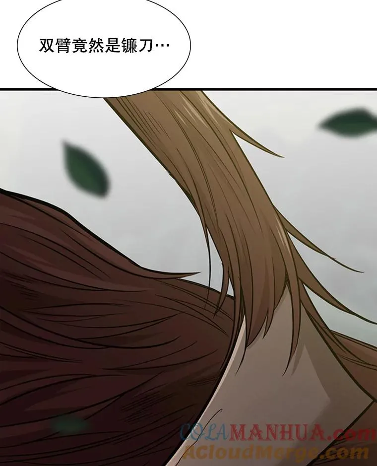 53.密林（2）112