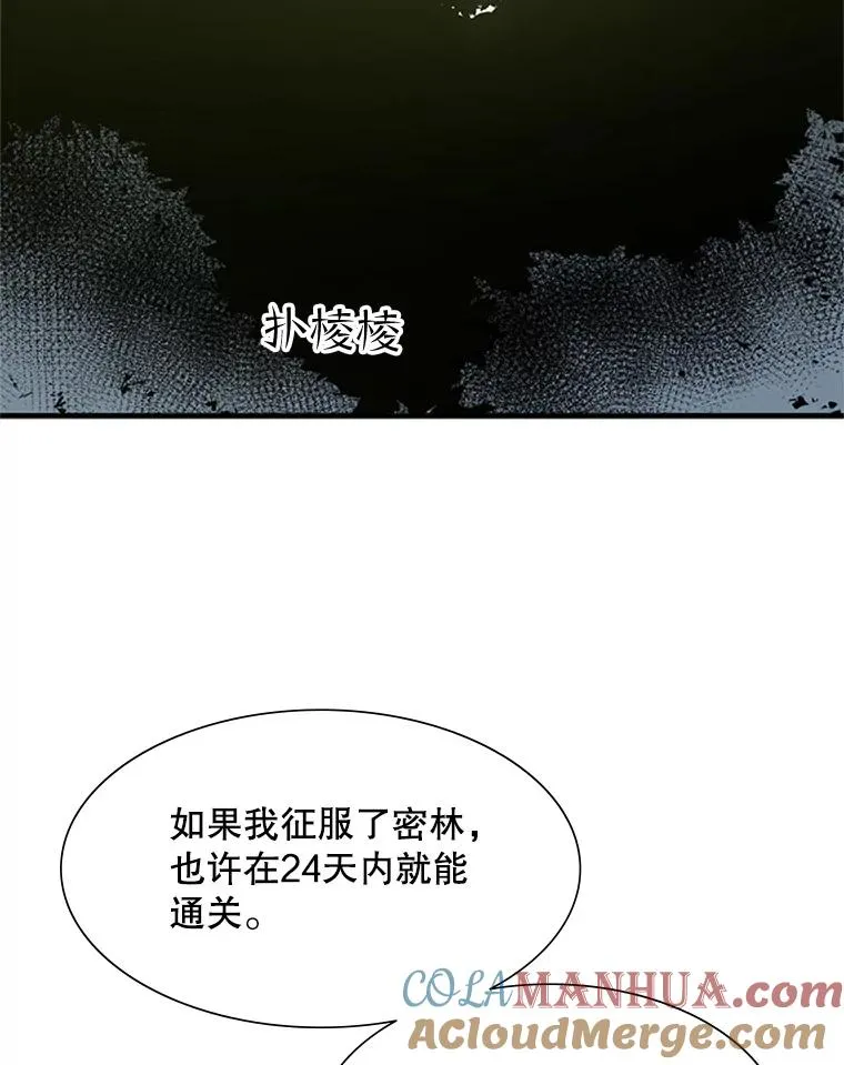 52.密林（1）80