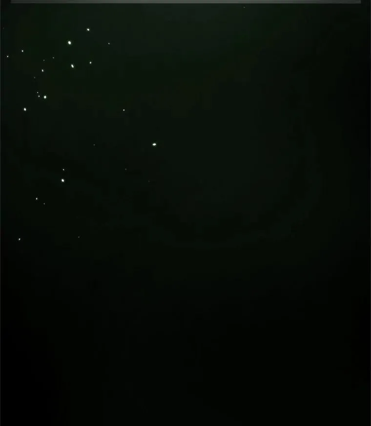 5.濒死状态106