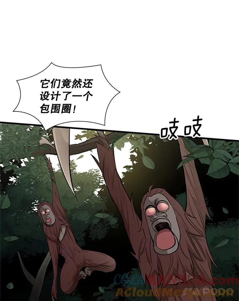 54.密林（3）108