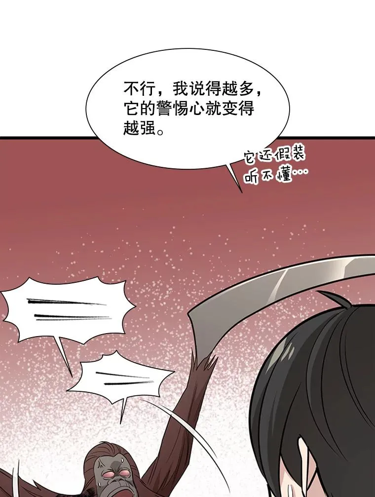 54.密林（3）13