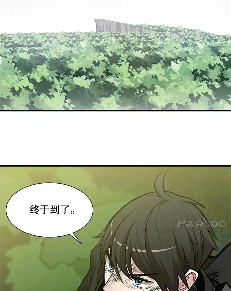 55.密林（4）81
