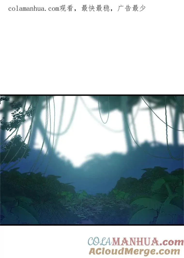 52.密林（1）0
