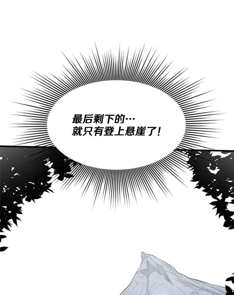 55.密林（4）73