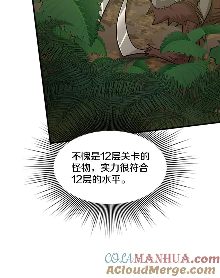 54.密林（3）100
