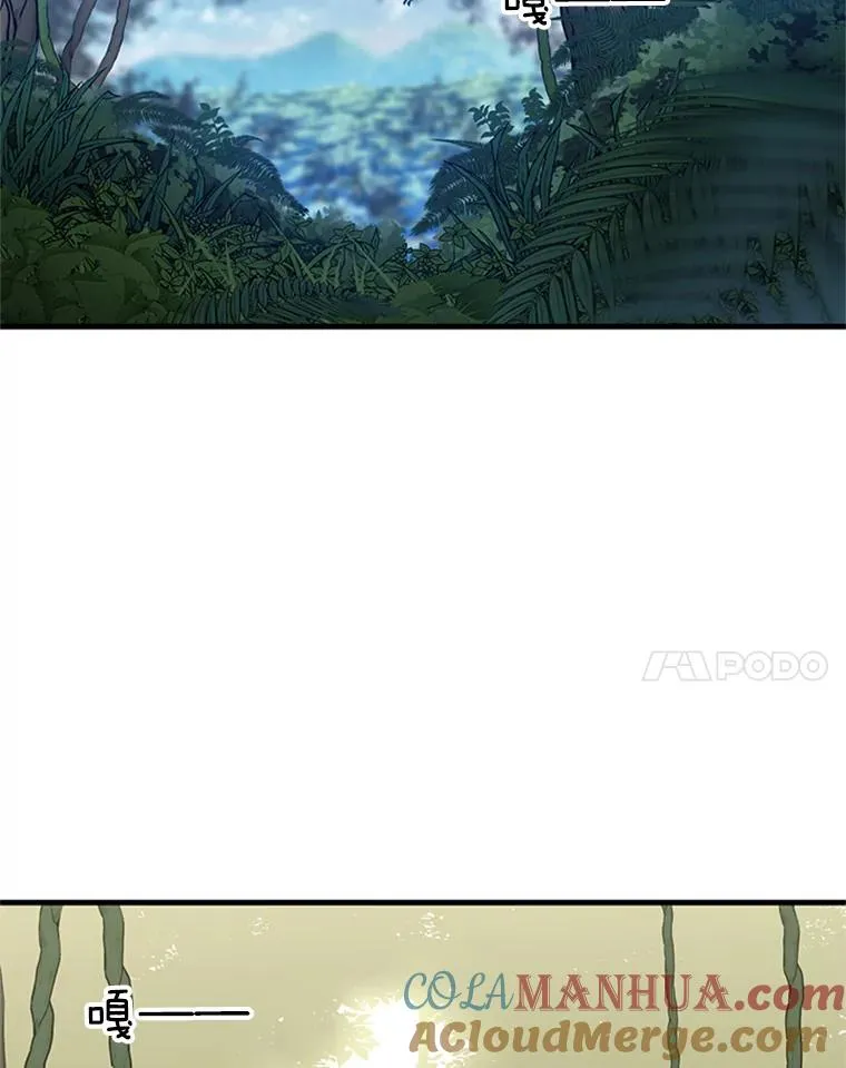 52.密林（1）28