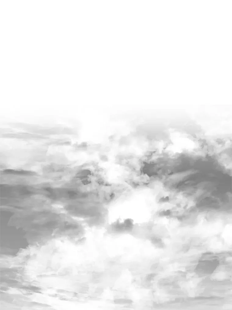 59.密林（8）2