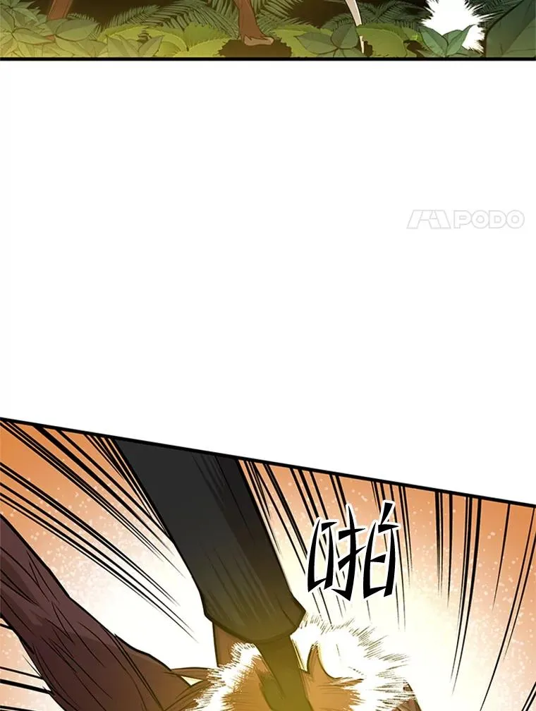 55.密林（4）7