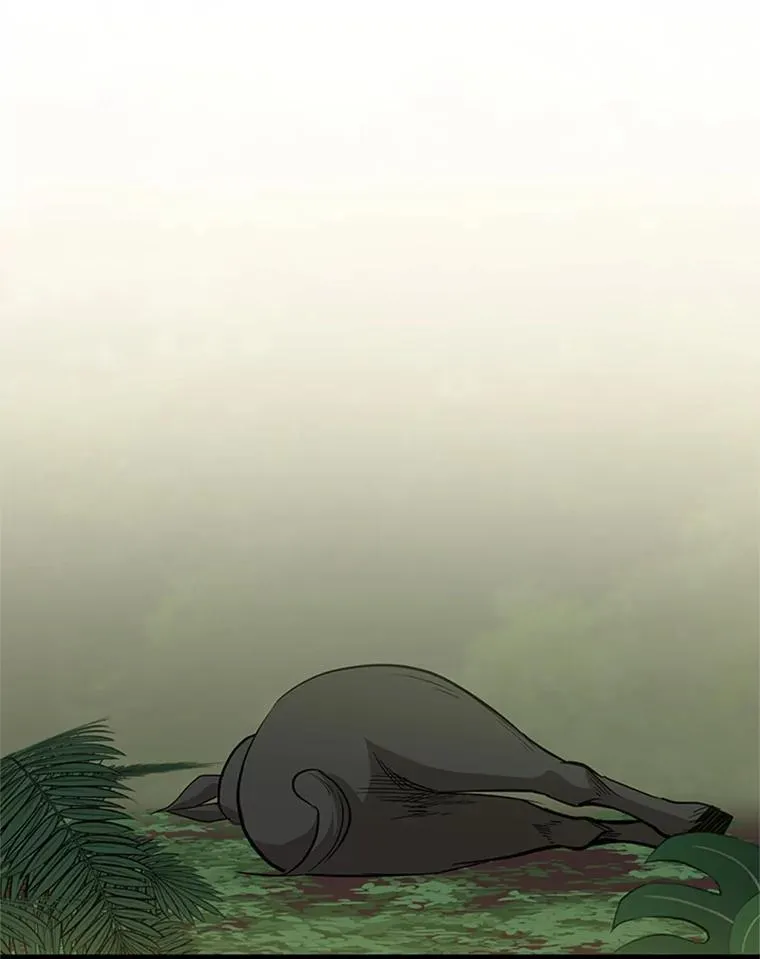 59.密林（8）19