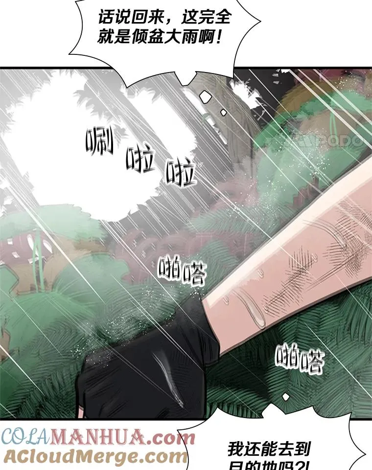 56.密林（5）64