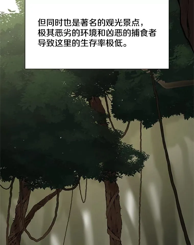 52.密林（1）37
