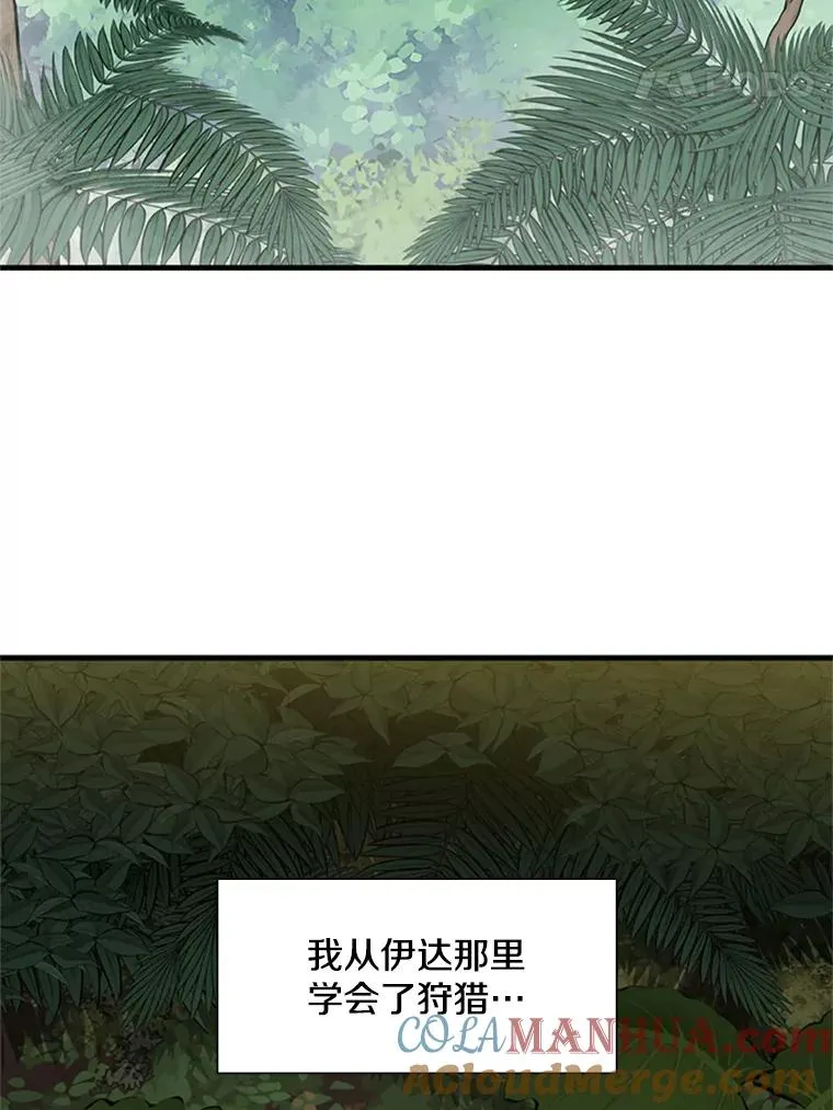59.密林（8）4