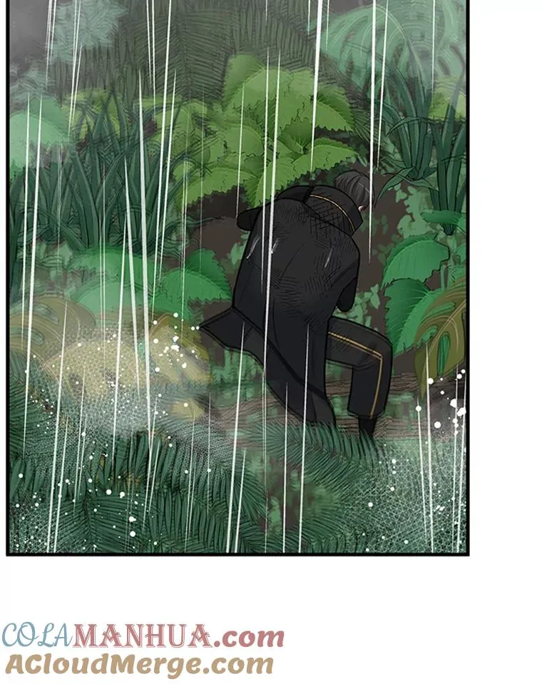 56.密林（5）72