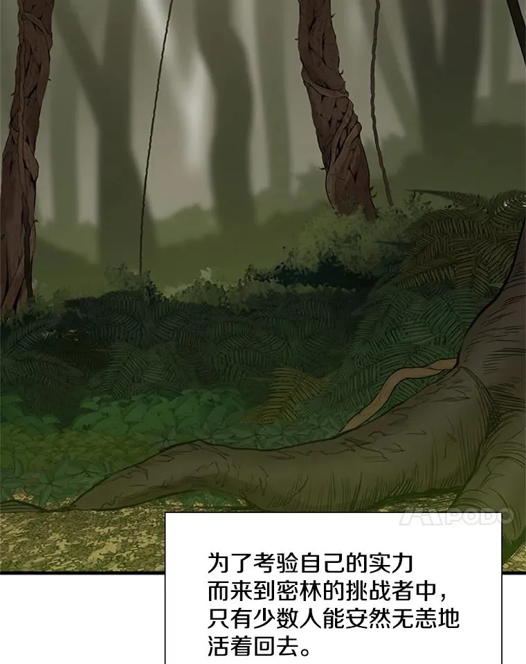 52.密林（1）38