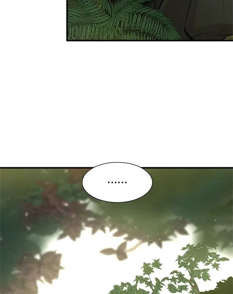 52.密林（1）73