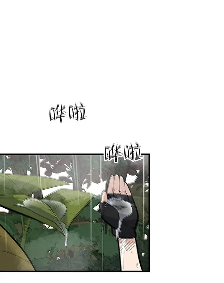 56.密林（5）78