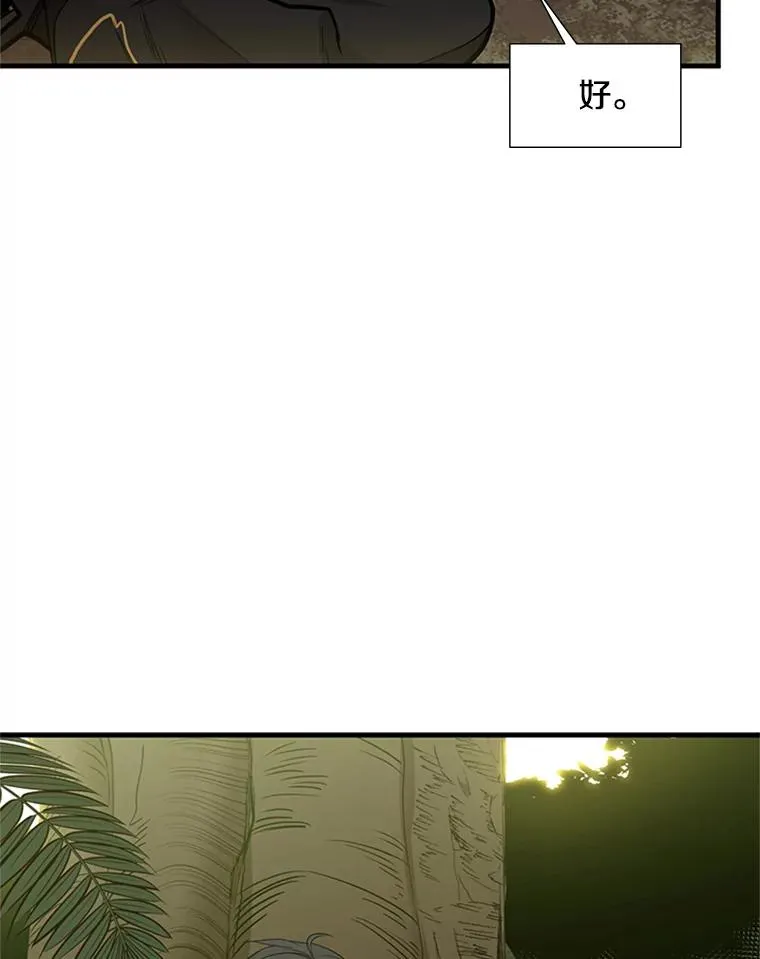 53.密林（2）46