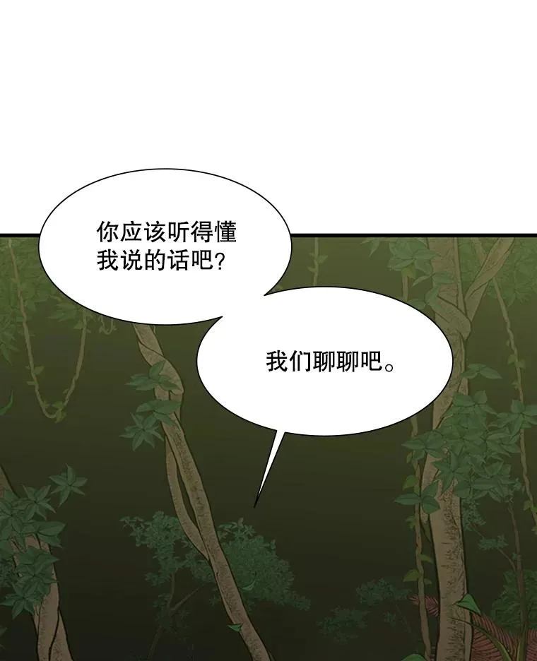 54.密林（3）5